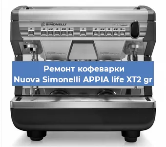 Чистка кофемашины Nuova Simonelli APPIA life XT2 gr от накипи в Красноярске